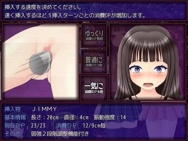 ヴァイブレーション！バイブの挿入の仕方選択画面